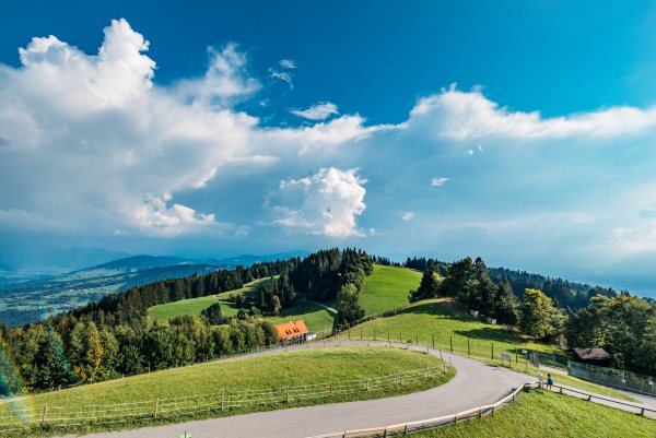 Ausblick vom Pfänder über die Hügel