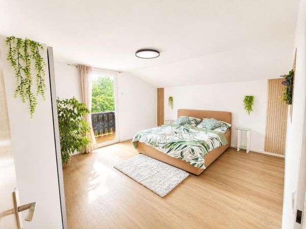 Pfänderblick